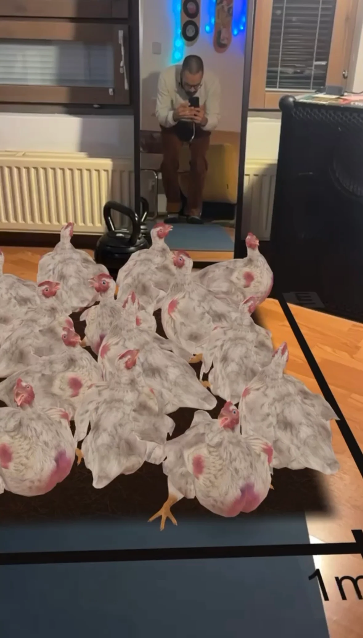 Animalia 18 chickens on a square meter screenshot