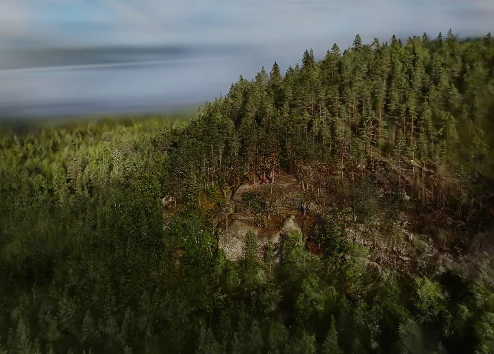 The Hyyppäänvuori ridge seen above the forest canopy and Lake Lievestuoreenjärvi.