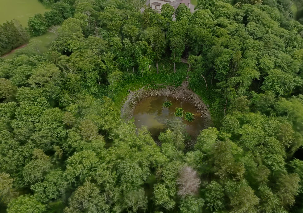 Aerial view into Kaali’s main crater and its tree-lined rim.