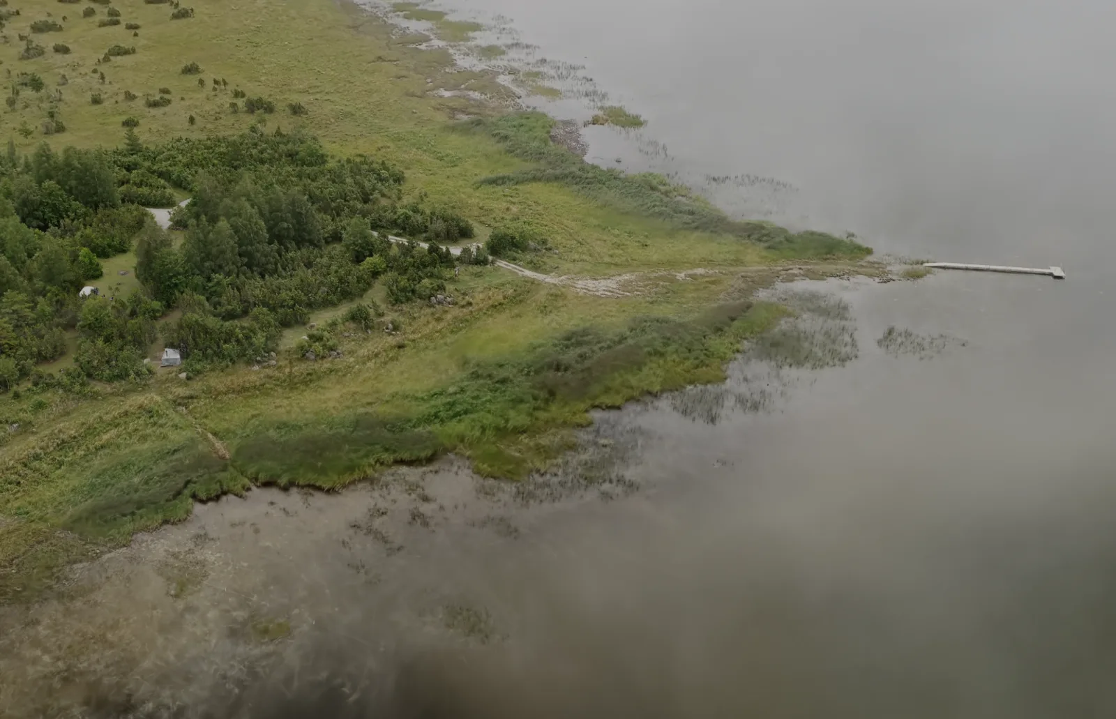 Oosaare Telkimisplats between coastal vegetation and the sea.