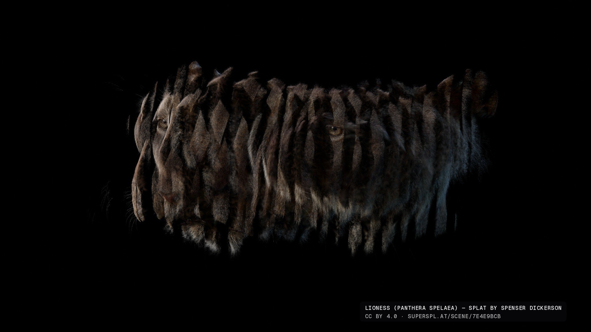 A lioness Gaussian splat broken into translucent vertical slices by the Ghost Slices preset